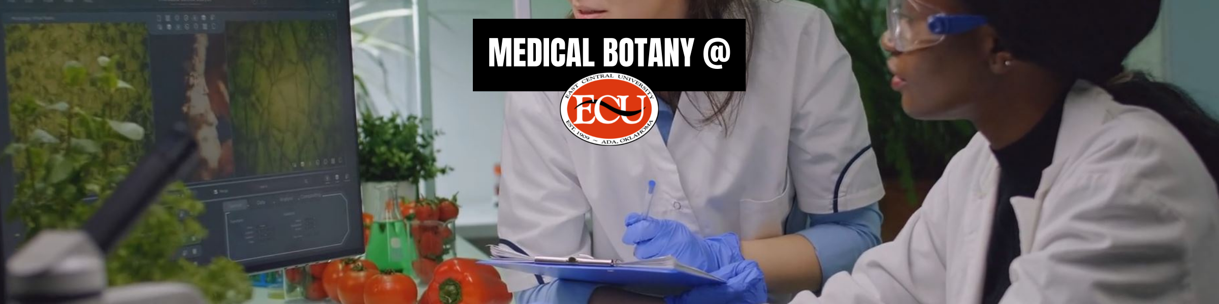 Medical Botany header