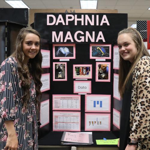 Science Fair