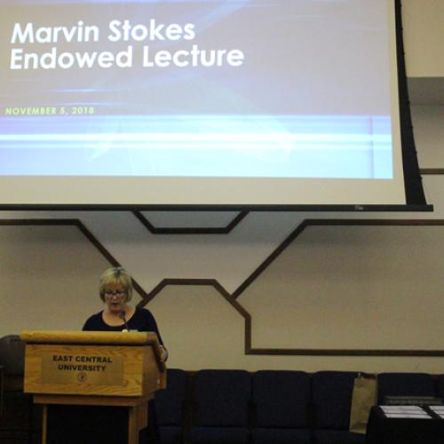 Marvin Stokes Lecture 