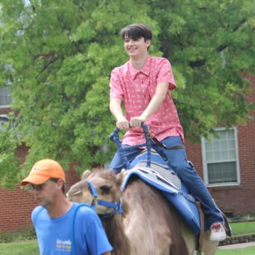 Camel Rides