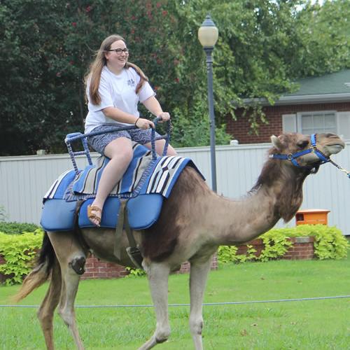 Camel Rides