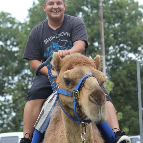 Camel Rides