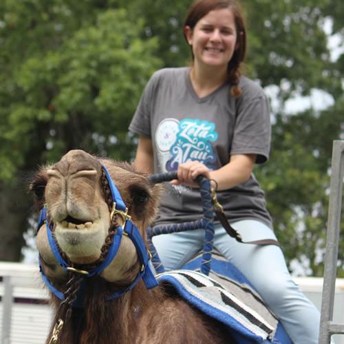 Camel Rides