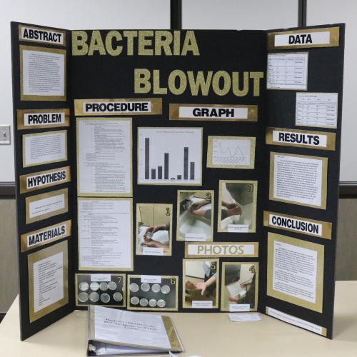 Regional Science Fair