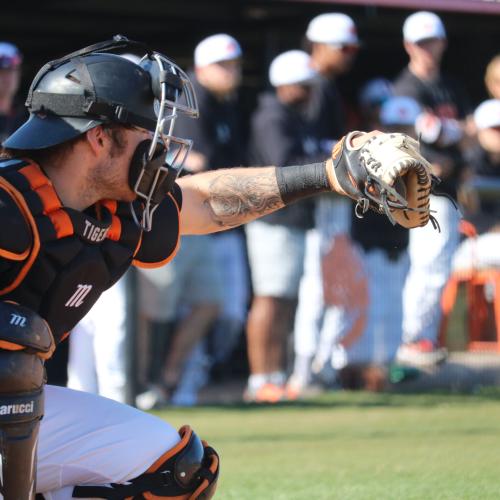 Baseball vs. Harding