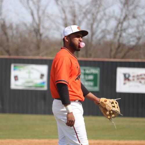 Baseball vs. Harding