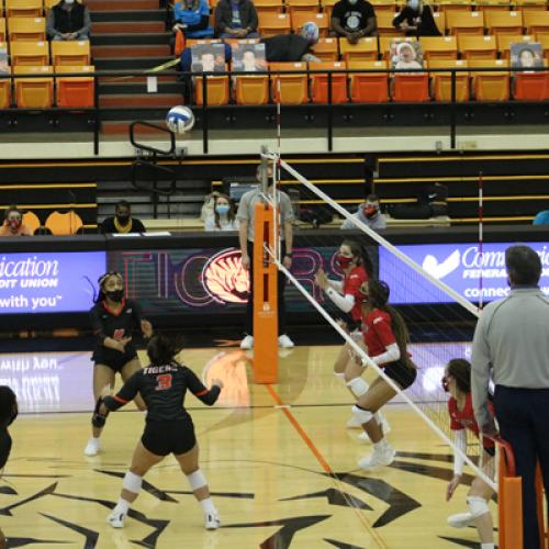 Volleyball vs Northwestern