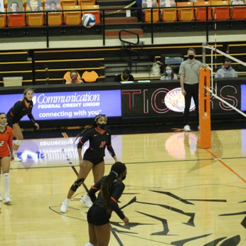 Volleyball vs Northwestern