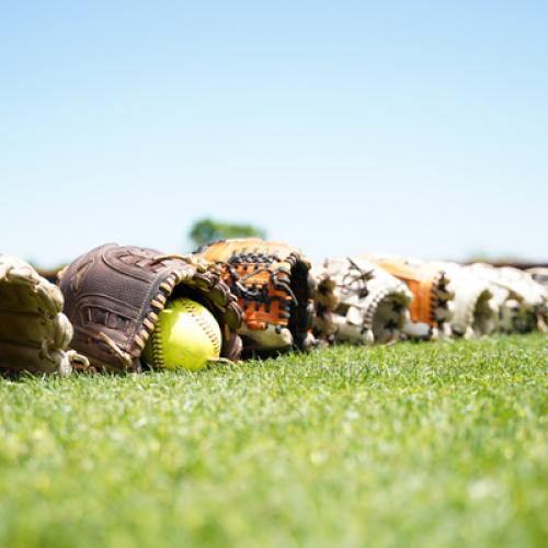 Softball vs. Harding (Double Header)