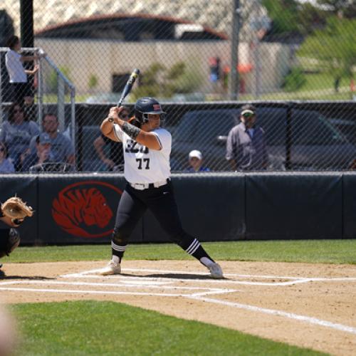 Softball vs. Harding (Double Header)