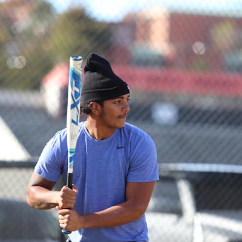 Softball Homerun Derby