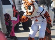 Roary high fives young child